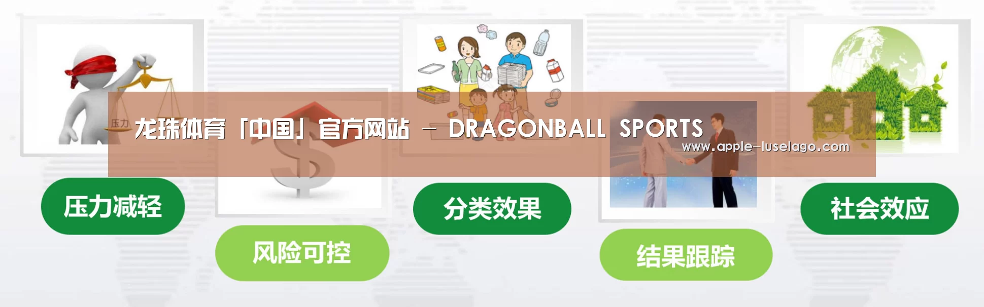 龙珠体育公司