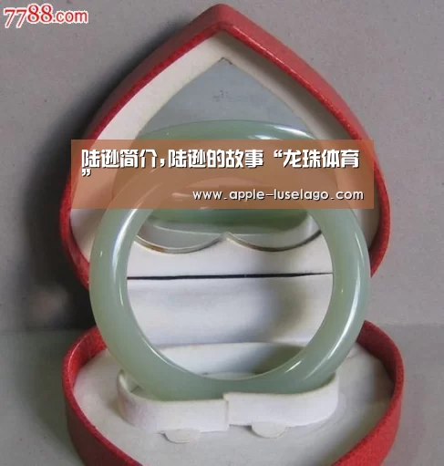 陆逊简介,陆逊的故事“龙珠体育”(图4) 龙珠体育