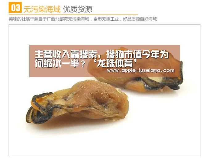主营收入靠搜索,搜狗市值今年为何缩水一半?‘龙珠体育’(图2) 龙珠体育