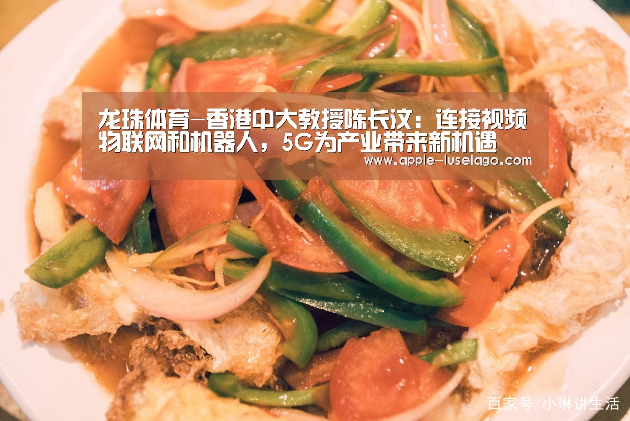 龙珠体育-香港中大教授陈长汶:连接视频物联网和机器人,5G为产业带来新机遇(图3) 龙珠体育