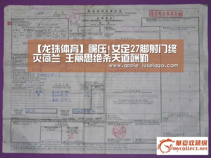 龙珠体育