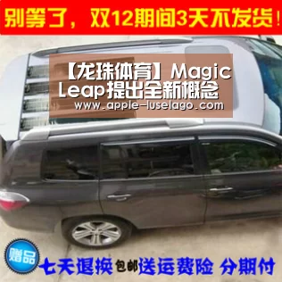 龙珠体育