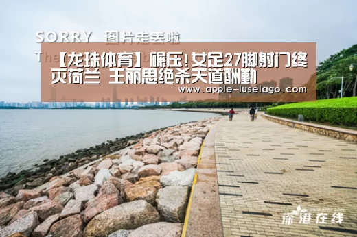 龙珠体育
