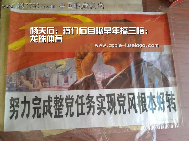 龙珠体育