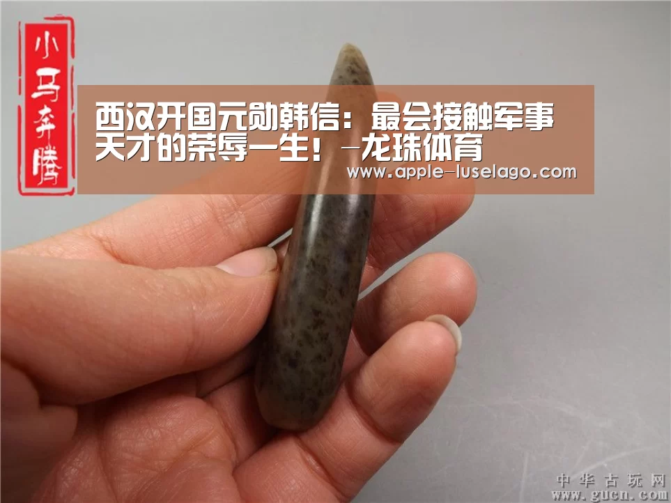 龙珠体育