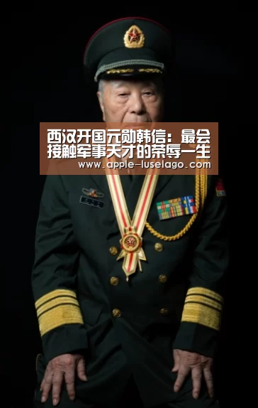 龙珠体育