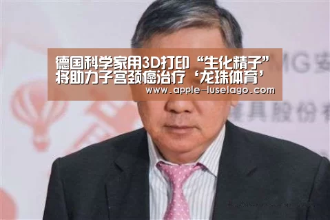 龙珠体育