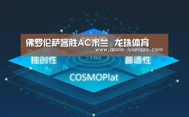 龙珠体育
