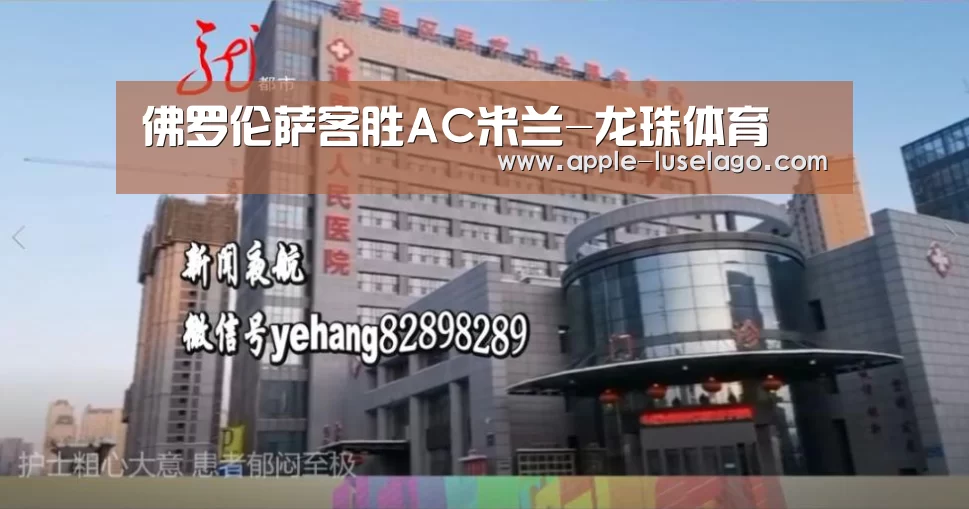 龙珠体育