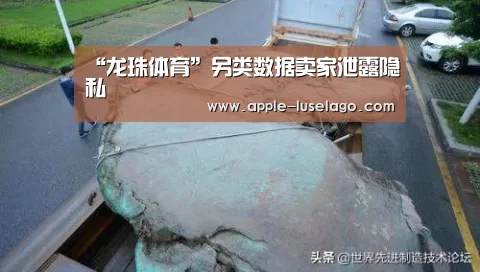 龙珠体育