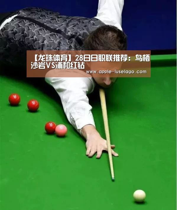 龙珠体育