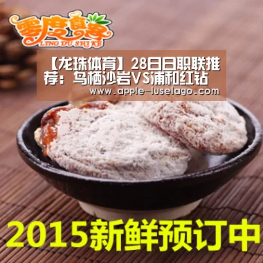 龙珠体育