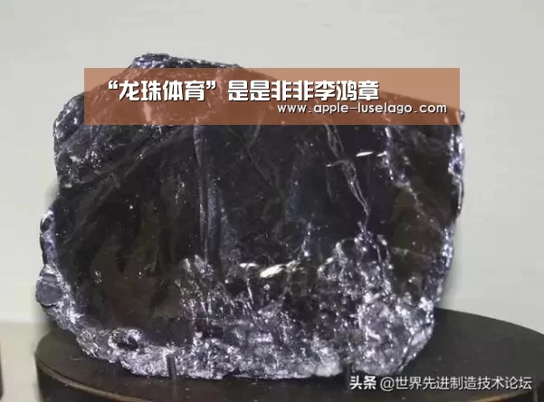 龙珠体育