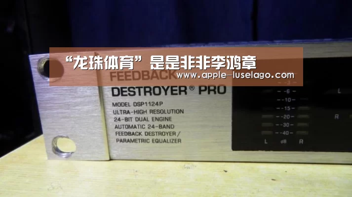 龙珠体育