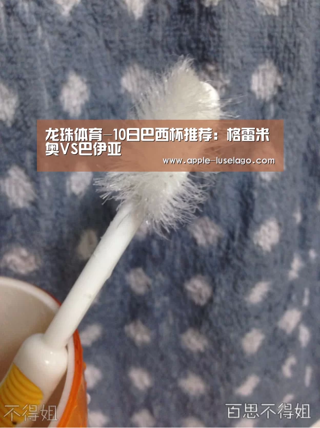 龙珠体育-10日巴西杯推荐:格雷米奥VS巴伊亚(图1) 龙珠体育