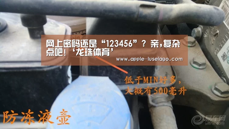 网上密码还是“123456”? 亲,复杂点吧!‘龙珠体育’(图2) 龙珠体育