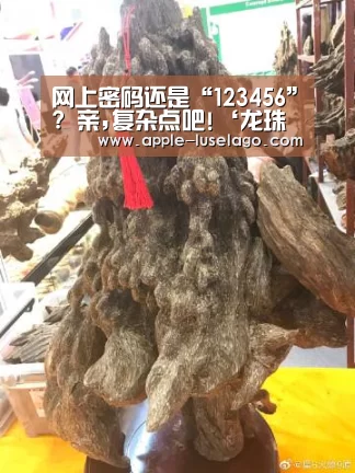 网上密码还是“123456”? 亲,复杂点吧!‘龙珠体育’(图1) 龙珠体育
