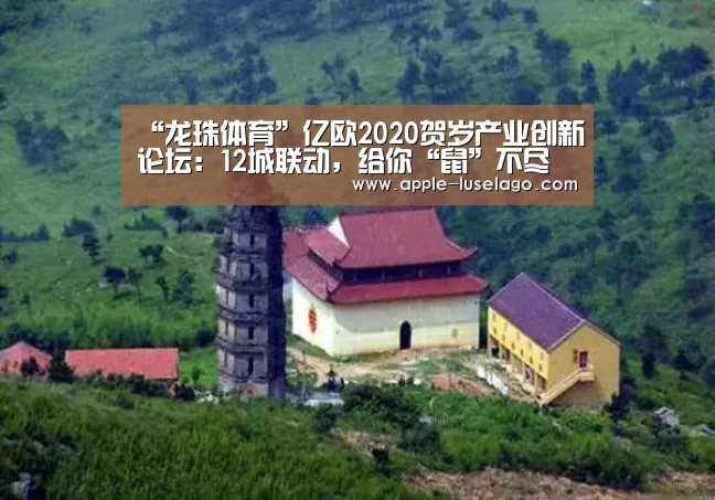 “龙珠体育”亿欧2020贺岁产业创新论坛:12城联动,给你“鼠”不尽的收获(图2) 龙珠体育