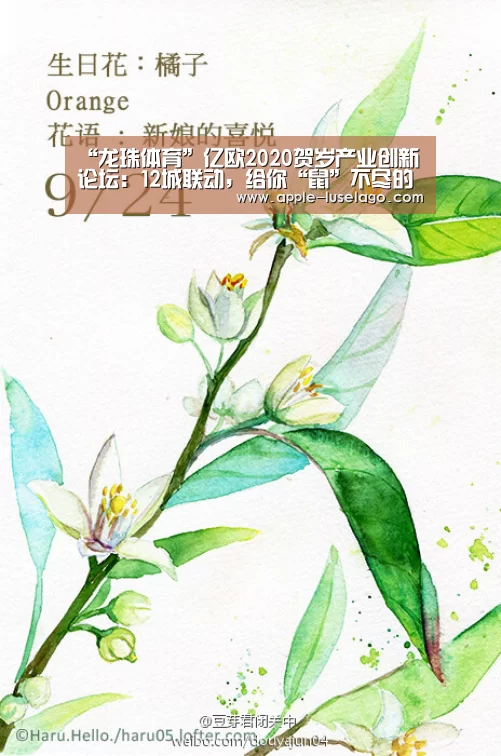 “龙珠体育”亿欧2020贺岁产业创新论坛:12城联动,给你“鼠”不尽的收获(图1) 龙珠体育