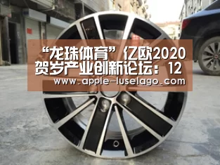 “龙珠体育”亿欧2020贺岁产业创新论坛:12城联动,给你“鼠”不尽的收获(图4) 龙珠体育