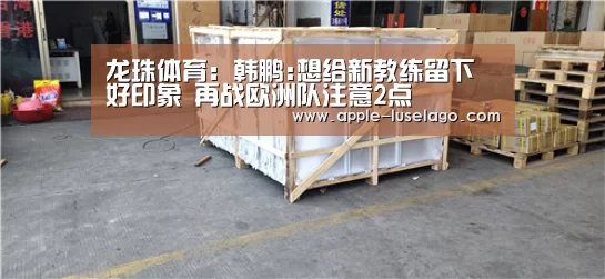 龙珠体育