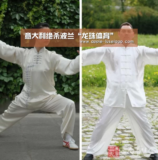 意大利绝杀波兰“龙珠体育”(图4) 龙珠体育