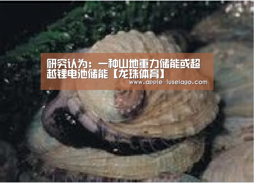 研究认为:一种山地重力储能或超越锂电池储能【龙珠体育】(图1) 龙珠体育