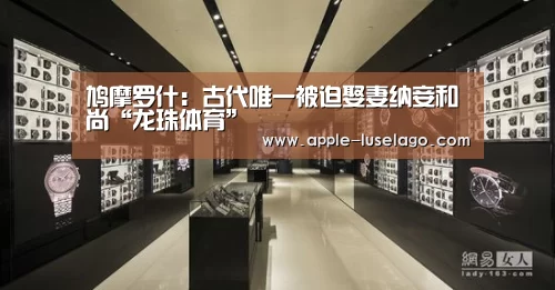 龙珠体育