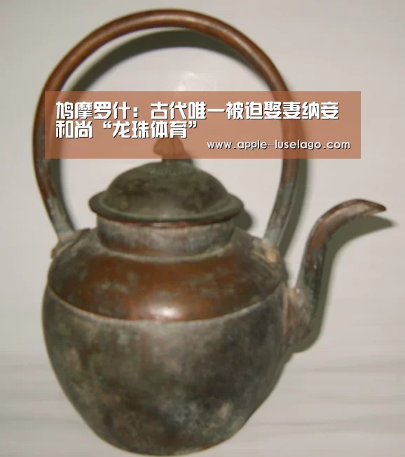 龙珠体育