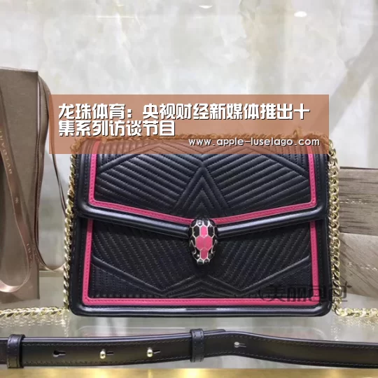 龙珠体育
