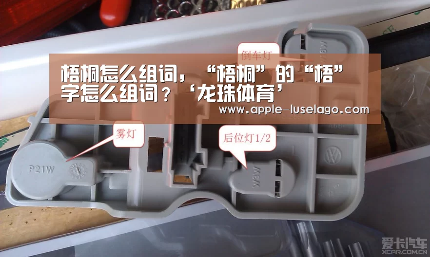 梧桐怎么组词,“梧桐”的“梧”字怎么组词?‘龙珠体育’(图1) 龙珠体育
