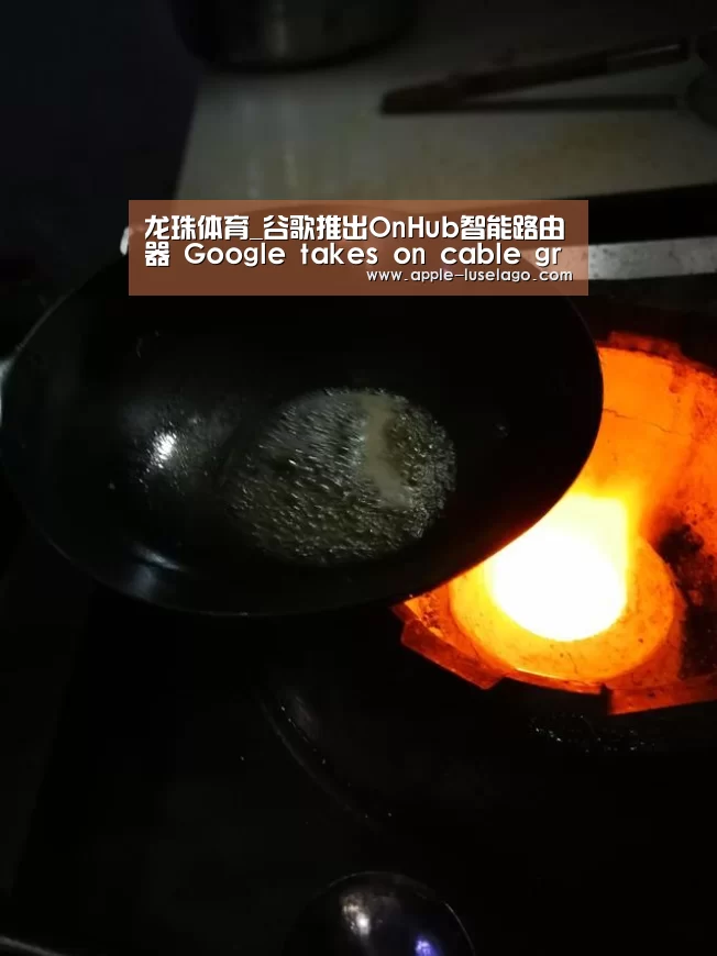 龙珠体育_谷歌推出OnHub智能路由器 Google takes on cable groups with a smart rou(图1) 龙珠体育