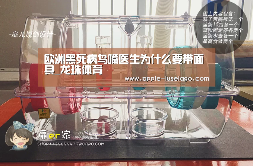 欧洲黑死病鸟嘴医生为什么要带面具_龙珠体育(图1) 龙珠体育
