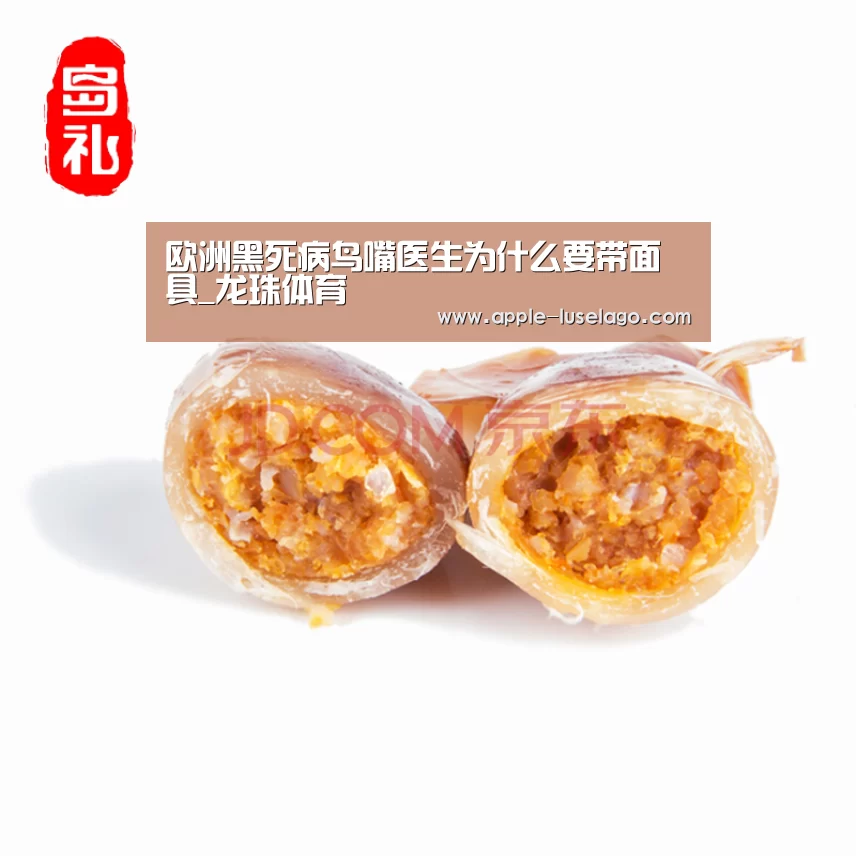欧洲黑死病鸟嘴医生为什么要带面具_龙珠体育(图2) 龙珠体育