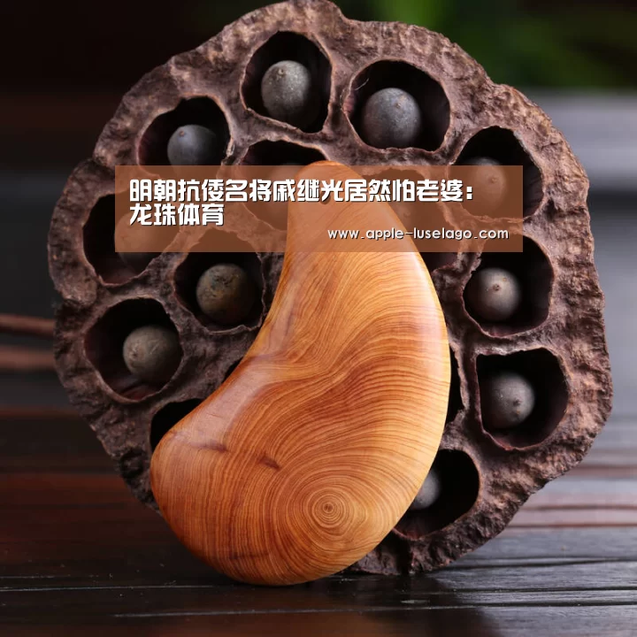 明朝抗倭名将戚继光居然怕老婆:龙珠体育(图2) 龙珠体育