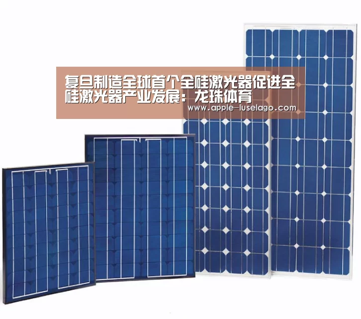 复旦制造全球首个全硅激光器促进全硅激光器产业发展:龙珠体育(图3) 龙珠体育